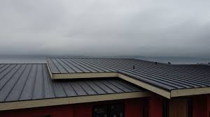 Best Cold Roofs  in Mendota, CA